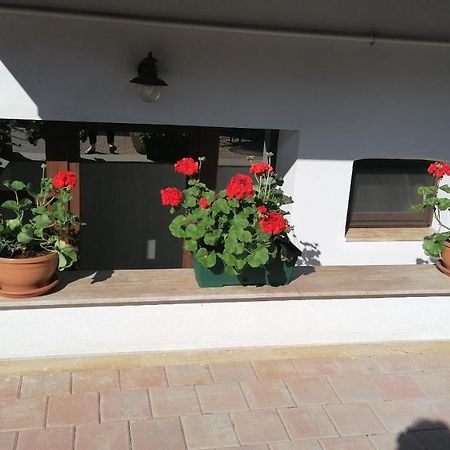 Bed and Breakfast Ana Boutique Алба-Юлия Экстерьер фото