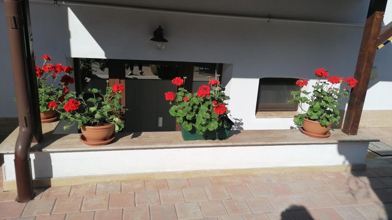 Bed and Breakfast Ana Boutique Алба-Юлия Экстерьер фото